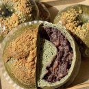 장기로 | [김포] 장기역 베이글 찐맛집 "소굴속 김포장기" 솔직후기🥭