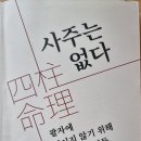 사주는 없다 - 이재인 지음 이미지