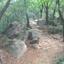 점봉체육관 이미지