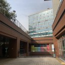 [성남꽃집 : 라라스페이스]퀄리티 좋은 판교 꽃집 겸 카페/공간대여/원데이클래스/분당꽃배달