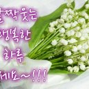 자꾸 이미지