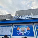 팀버드 | 신한에스버드여자농구 직관 후기 쏠한응원석 홈경기 첫 여자농구 직관