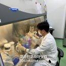 돈피랑 - 김천시 | 돈피랑