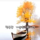 프라자꽃집