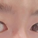 수에르떼뷰티샵