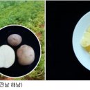 남선반점 정책브리핑
