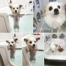 하우스유 이미지