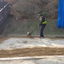 배재대학교부속유치원 이미지