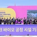 태 이미지