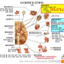 Re:구안와사/안면신경마비 교과서1-중풍과 구안와사의차이 이미지