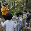 한독유치원 이미지