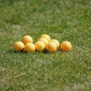 북경주파크골프장 이미지