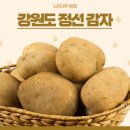 느티나무농원 네이버블로그