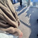 호영목장 | 조각난 채로 버려둔 마음이지만