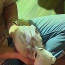 울산 실내 동물원 와우쥬 3세 아기와 리얼 방문 후기 (장마철 울산 아이랑 놀만한 곳)