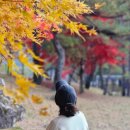 춘천루체호텔 이미지