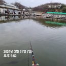 신촌낚시터 | 경기도낚시터 신촌낚시터 38수 후기 (2024년 3월 31일 조황)
