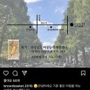 브라운바스켓