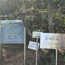 석굴암 | 제주에도 석굴암이 있다고? 조용한 힐링 코스, 제주 석굴암 탐방로 후기