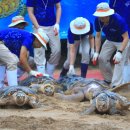 바다메디칼 이미지