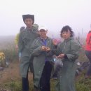 정분이네 이미지