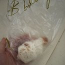 일등떡방앗간 | 겨울 이제 고마 가주세요