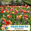 채송화어린이공원 이미지