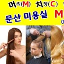 머리치장미용실 이미지