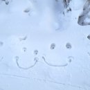 멕시카나 무주점 이미지