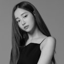 고혹 스타뉴스
