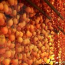 모노라마 이미지