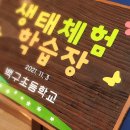 백구초등학교 이미지