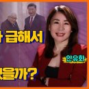 안유화 - 미국은 뭐가 급해서 100세 키신저를 중국에 보냈을까?ㅣKBS 230725 방송 이미지