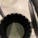 동명로 | 부산 남구 용호동대패삼겹살 맛집 광대패 후기