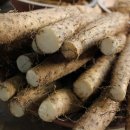 황진농장 이미지