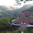 금봉자연휴양림 이미지