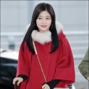 비호 이미지