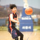 분당-176 이미지