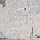 고려전기 - 전주시 덕진구 아중로 196 | 고려전기
