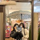 라비욘 이미지