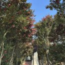 정혜재활원 | [제주 서귀포] 숙소추천 유앤아이제주 : 동백꽃 산책길과 프라이빗 자쿠지가 있는 서귀포 독채 펜션/풀빌라