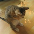 아 이미지