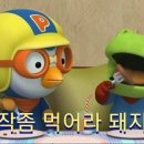 수원-0660 이미지