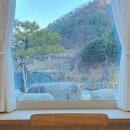 단풍나무펜션민박 이미지