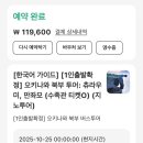 그냥거기 | 오키나와 북부투어 버스투어 추천 만좌모, 츄라우미수족관, 코우리지마, 아메리칸빌리지 방문 후기