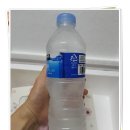 감프롱 | 마카롱 추천 : 감프롱 마카롱 내돈내산 후기