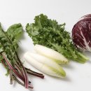 치커리(chicory) 이미지