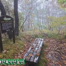 동서트레일47 이미지