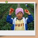명훈농장 Daum카페