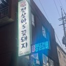 꽃돼지소숯불갈비 | 이천 장호원맛집 통 갈매기살 천상아 꽃돼지숯불구이